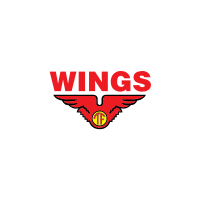 Luluk Setyawan - IT Staff, PT. Wings Surya